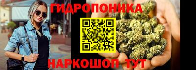apvp Краснодар