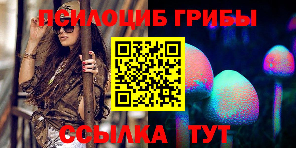 Костомукша  Псилоцибиновые грибы GOLDEN TEACHER  купить наркоту  Галлюциногенные грибы Psilocybine cubensis  Вход с VPN 